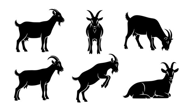 Black goat silhouettes livestock vector collection