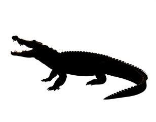 Obraz premium A large reptile with an open mouth and sharp teeth