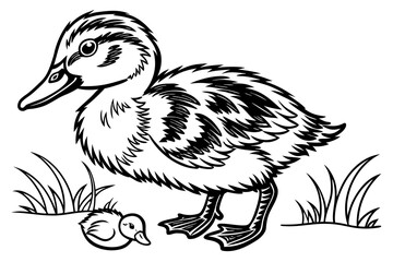 Fototapeta premium Single cute little duck coloring book page, one large centered object only, black and white vector line art, bold clean outlines, no shading, no grayscale, no background, white background only, printa