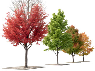 Obraz premium Group of Four Trees with Autumn Foliage Isolated on Transparent Background