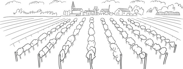 Rural farmland landscape illustration with crop rows, village skyline, countryside agriculture fields, black and white line art drawing perspective view © Mst