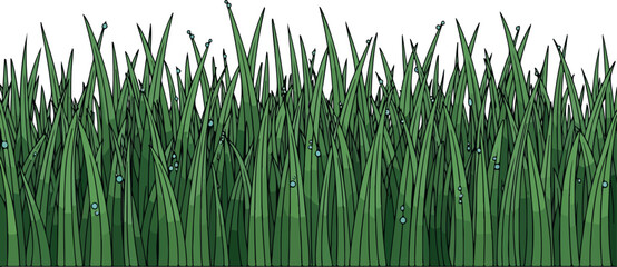 Obraz premium Tall Grass Isolated on Transparent Background Flat 2D Vector