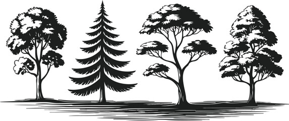 Abstract Eye Silhouette Vector Set  Geometric Shapes and Minimal Design © MSTZOWRON