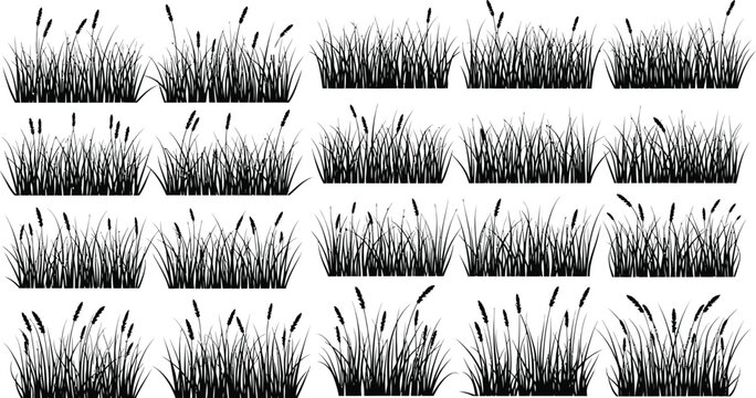 Collection of various black silhouette clumps of tall wild grass featuring flowering seed heads isolated on a clean white background for design elements.