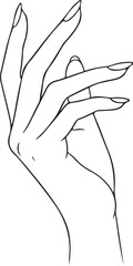 Slim fingers with soft curves, elegant line art style. in silhouette of white background..