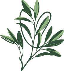 Obraz premium Minimalist natural floral vector sticker of olive branch with leaves, bold black thick clean outline, pure white background