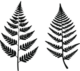 Naklejka premium Minimalist natural floral vector sticker of fern leaf, bold black thick clean outline, pure white background 1
