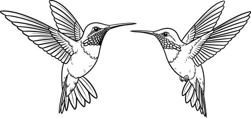 Two hummingbirds flying in mid air with spread wings and long beaks facing each other cad drawing flat vector illustration medical icon, line © Riya