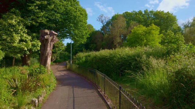 High-quality cinematic footage of a peaceful walk through Victoria Park in Paignton, UK. Lush green trees and a quiet paved path capture the essence of a British summer