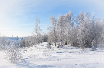 Obraz premium Frosty morning, beautiful trees in snow and frost