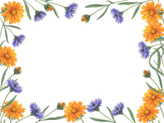 Obraz premium Watercolor floral frame with bright orange daisy-like flowers and delicate blue cornflowers on a white background.