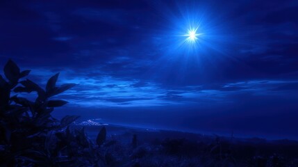 A deep blue scene, illuminated by a brilliant light, with foliage in the foreground