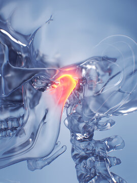 A Detailed 3D Depiction Of The Temporomandibular Joint Of A Human Male