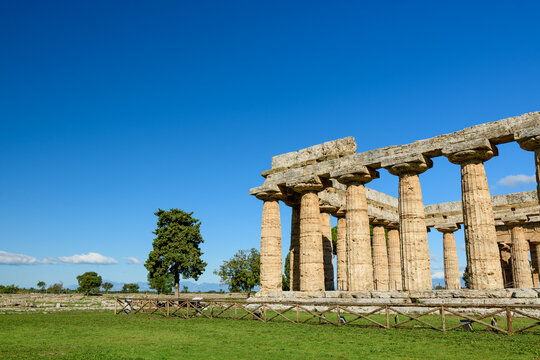Weathered Doric columns of the Basilica at Paestum, Italy, stand on open grassy grounds beneath a clear blue sky. The historic stone structure is bordered by rustic wooden fencing and scattered
