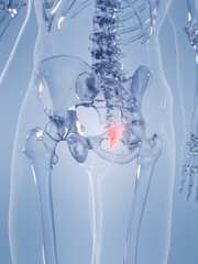 Obraz premium A Detailed 3D Depiction Of The Coccyx Of A Human Male