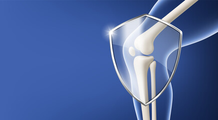 Naklejka na ściany i meble Knee joint model with protection shield icon. Healthcare orthopedic safety concept. Vector realistic illustration