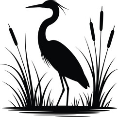 Fototapeta premium Silhouette of a great blue heron standing among cattails and marsh grass in water, wildlife vector graphic