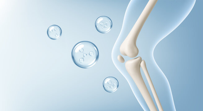 Healthy knee joint of a human leg with vitamins and minerals around it. Vitamin, сollagen, minerals and calcium for healthy bone joint. Vector realistic illustration
