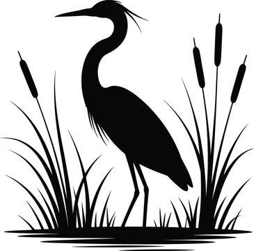 Silhouette of a great blue heron standing among cattails and marsh grass in water, wildlife vector graphic