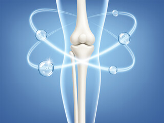 Healthy knee joint with collagen and vitamin molecules. Bone and cartilage support concept. Realistic medical vector illustration