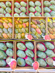Fresh mangoes in market stall