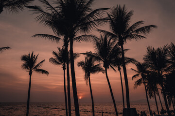 Fototapeta premium Tropical palm trees against a vibrant sunset sky. Concept of relaxation, travel, and exotic paradise. Perfect for themes related to summer vacations, beach destinations