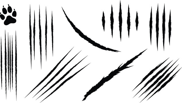 Claw Mark and Paw Print Vector Collection Featuring Wild Animal Scratch Designs and Feline or Canine Footprint Symbols for Tattoo, Logo, and Graphic Projects