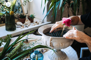 Hands secure wire mesh in stone urn next to pink aster in blue glass vase. artisan floral design,...