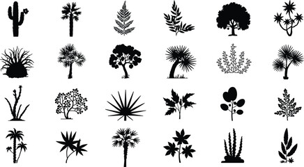 Cactus, palm and tropical tree silhouettes collection, black botanical desert and jungle plants isolated on white background