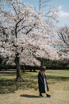 Young woman in black coat enjoying cherry blossoms in spring par