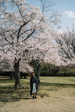 Young woman in black coat enjoying cherry blossoms in spring par