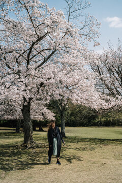 Young woman in black coat enjoying cherry blossoms in spring par