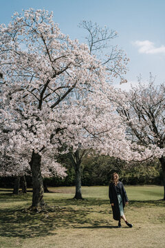 Young woman in black coat enjoying cherry blossoms in spring par