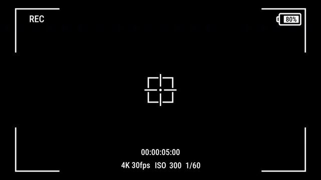 Camera viewfinder overlay recording screen alpha channel digital video interface