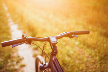 Bike ride through peaceful forest pathway © AlexGo