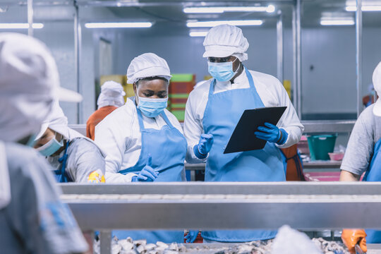 Food hygiene officer inspecting and certifying the cleanliness of fish production product factory,