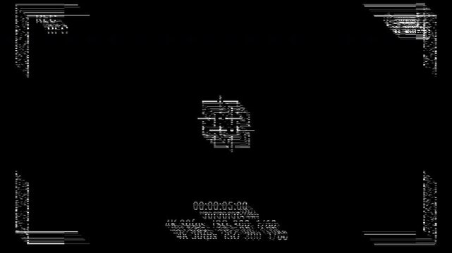 Camera viewfinder overlay recording screen glitch tracking video digital