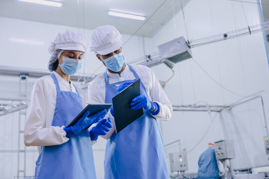 Food hygiene officer inspecting and certifying the cleanliness of fish production product factory,