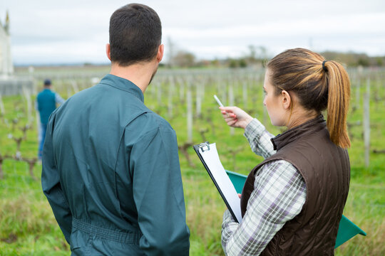 female worker in vineyards pointing at something