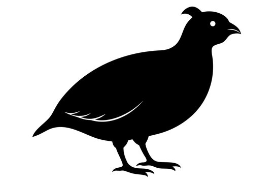 Bobwhite Quail Black Silhouette Isolated on White Background &ndash; Bird Vector Illustration
