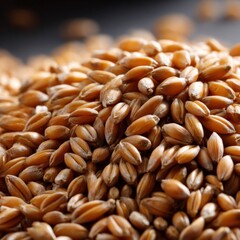 Close-up of whole wheat grain kernels in warm light
