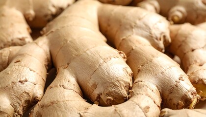 Fresh raw ginger on whole background, close up