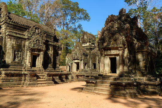 Ornate sandstone towers of Thommanon temple stand illuminated by crisp sunlight, surrounded by tall forest trees in Angkor, Cambodia. The scene features detailed carvings, weathered masonry, and deep