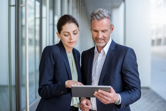 Portrait of two business partners looking together at tablet