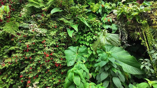 Lush living wall vertical garden inside Cloud forest Garden by the Bay Singapore nature