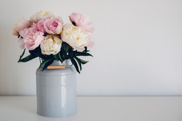 Beautiful bouquet of fresh colorful peonies in full bloom in vase against white background. Floral spring still life. Copy space for text.