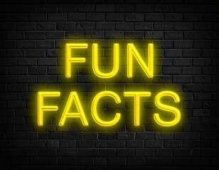 Leuchtende gelbe Neonschrift "Fun Facts" auf dunkler Backsteinmauer