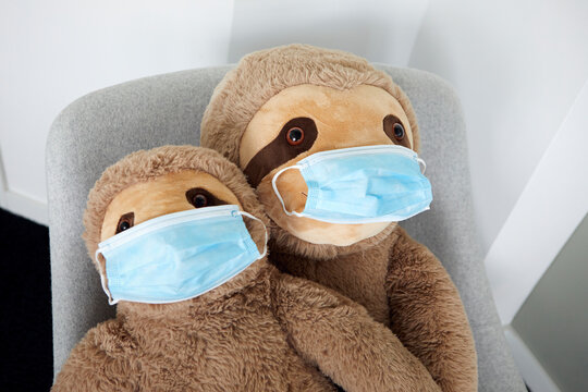 Two soft toys on arm chair with protective masks