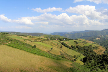 Fototapeta premium Trail O Cebreiro Ascent July 2024
