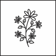 Minimalist Botanical Line Art Illustration with Leaves and Berries